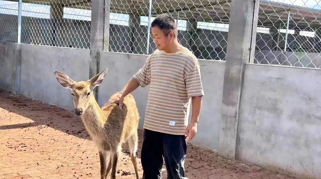 菠菜推荐论坛